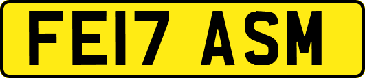 FE17ASM