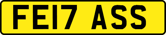 FE17ASS