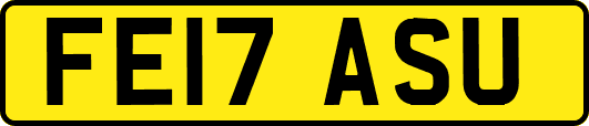 FE17ASU