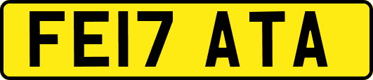 FE17ATA