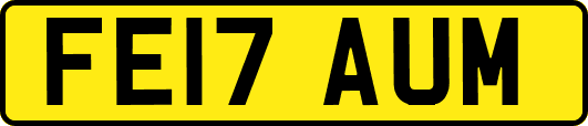 FE17AUM