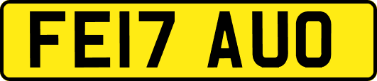 FE17AUO