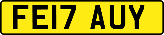 FE17AUY