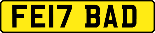 FE17BAD