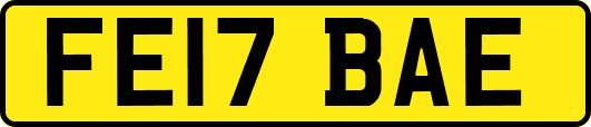FE17BAE