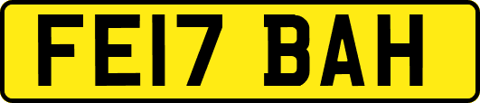 FE17BAH