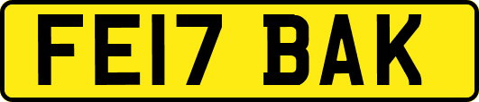 FE17BAK