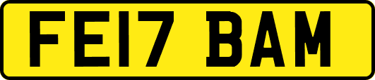 FE17BAM
