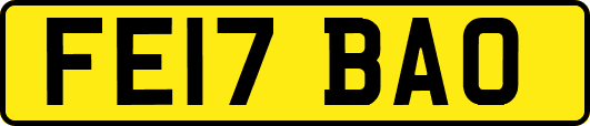 FE17BAO