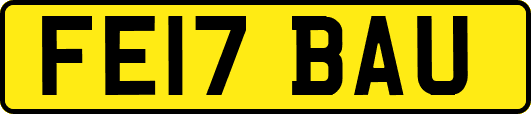 FE17BAU