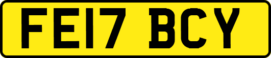 FE17BCY