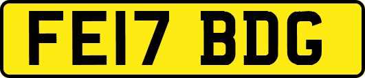FE17BDG