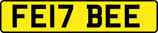 FE17BEE