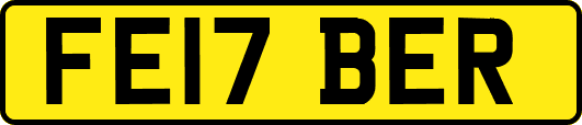FE17BER