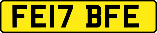 FE17BFE