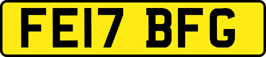 FE17BFG