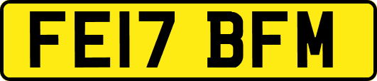 FE17BFM