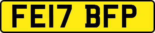 FE17BFP