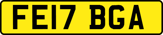 FE17BGA