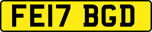 FE17BGD