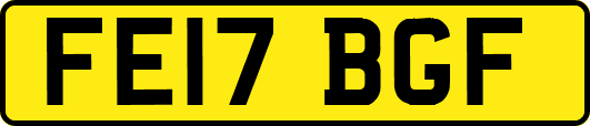 FE17BGF