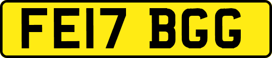 FE17BGG