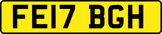 FE17BGH