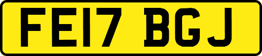 FE17BGJ