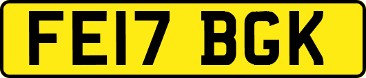 FE17BGK