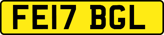 FE17BGL