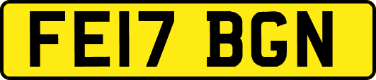 FE17BGN