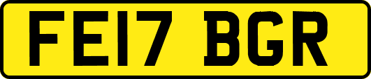 FE17BGR