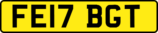 FE17BGT