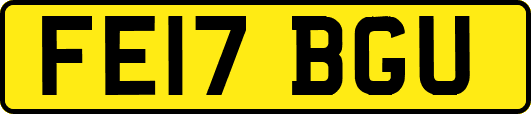 FE17BGU