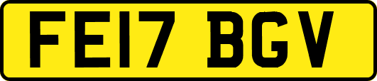 FE17BGV