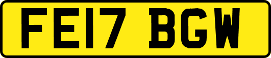 FE17BGW