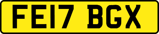 FE17BGX