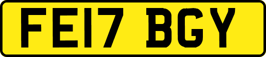 FE17BGY