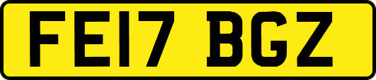 FE17BGZ