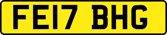 FE17BHG