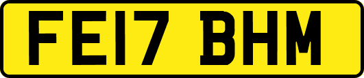 FE17BHM