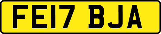 FE17BJA