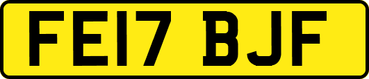 FE17BJF