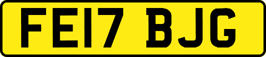 FE17BJG