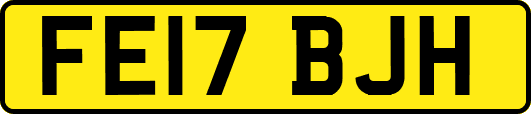 FE17BJH