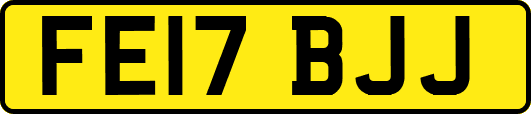 FE17BJJ