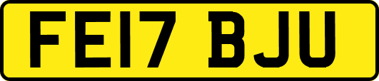 FE17BJU