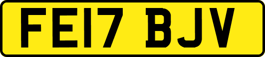 FE17BJV