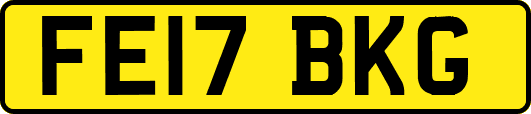FE17BKG
