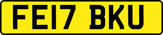 FE17BKU
